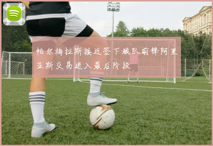 帕尔梅拉斯接近签下狼队前锋阿里亚斯交易进入最后阶段