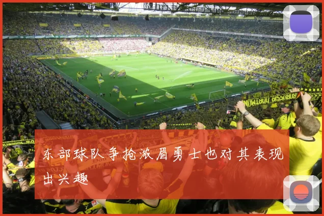 东部球队争抢浓眉勇士也对其表现出兴趣