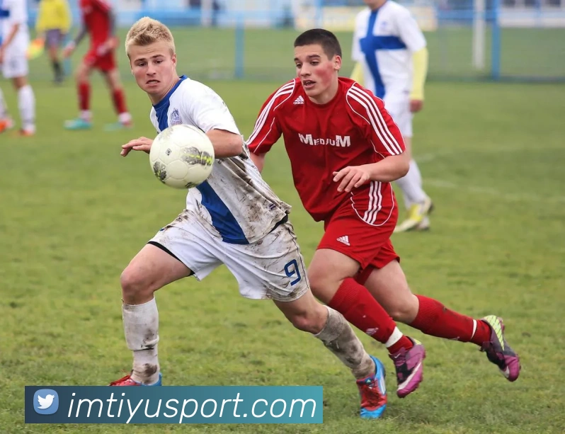 IM体育官APP 封面图